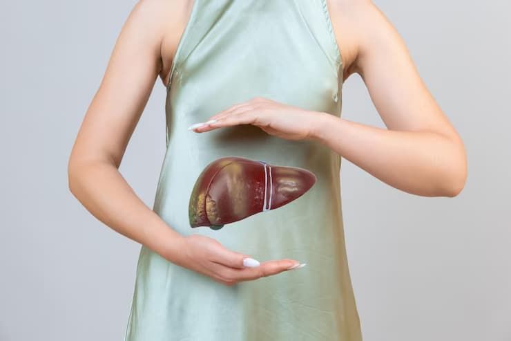 Функции печени и ее восстановление методами тибетской медицины - 1